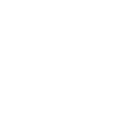 Emotional Regulation icon